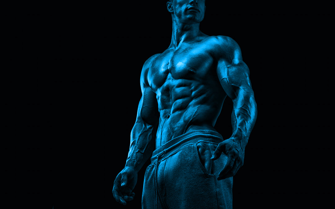 Optimizing your workouts for muscle gains
